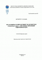 Local cover image