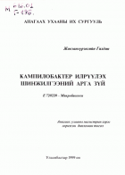 Local cover image